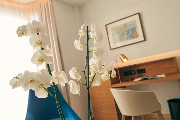 Superior Tek Büyük Yataklı Oda (Spa Access)