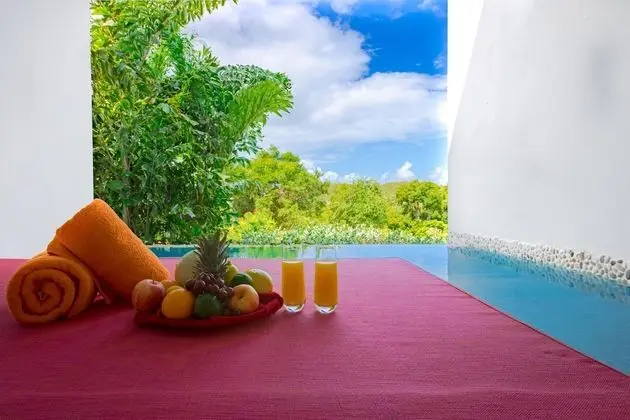 Süit, 1 En Büyük (King) Boy Yatak, Bahçe Manzaralı (Plunge Pool - Adults Only)
