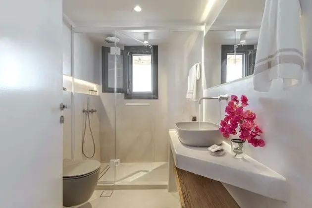 Exclusive Villa