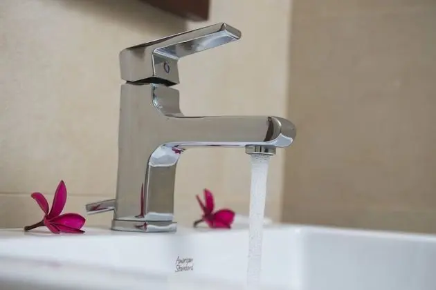 Deluxe Üç Kişilik Oda, Sigara İçilmez, Bahçe Manzaralı