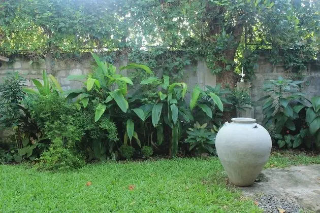 Deluxe Üç Kişilik Oda, Sigara İçilmez, Bahçe Manzaralı