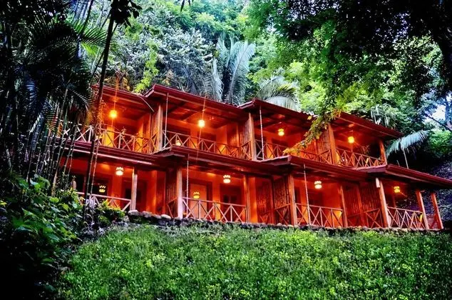 Pool View Room (1 King  Bed)