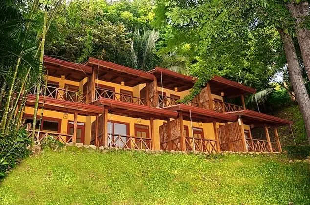 Pool View Room (1 King  Bed)