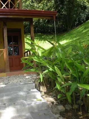 Pool View Room (1 King  Bed)