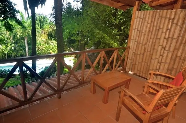 Pool View Room (1 King  Bed)