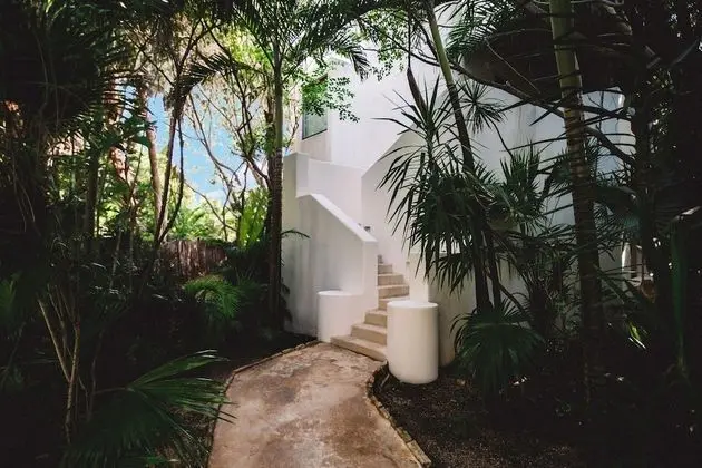 Süit, 1 En Büyük (King) Boy Yatak (Jungle Suite with Plunge Pool)