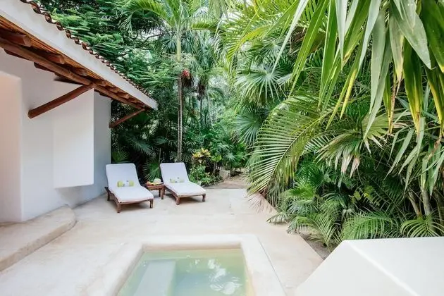 Süit, 1 En Büyük (King) Boy Yatak (Jungle Suite with Plunge Pool)