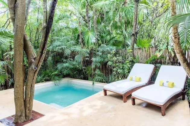 Süit, 1 En Büyük (King) Boy Yatak (Jungle Suite with Plunge Pool)