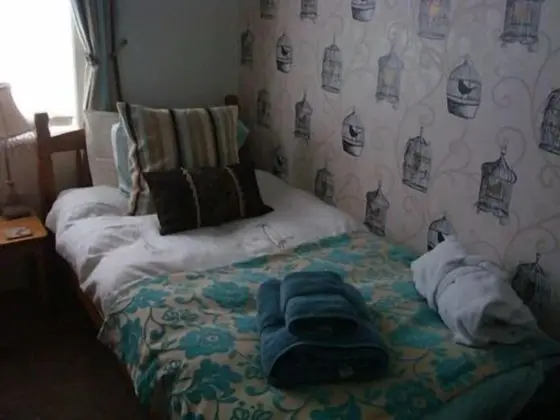 Standart, Bir Tek Kişilik Yataklı (Private Bathroom)
