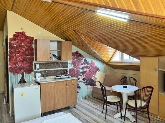 Apart Oda, Şehir Manzaralı, Balkonlu