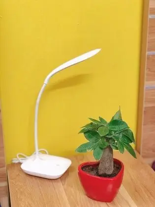 Basic İki Ayrı Yataklı Oda