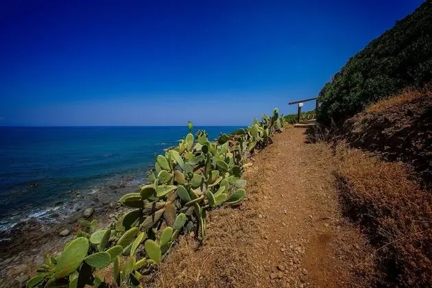 Villa, 5 Yatak Odası, Balkon