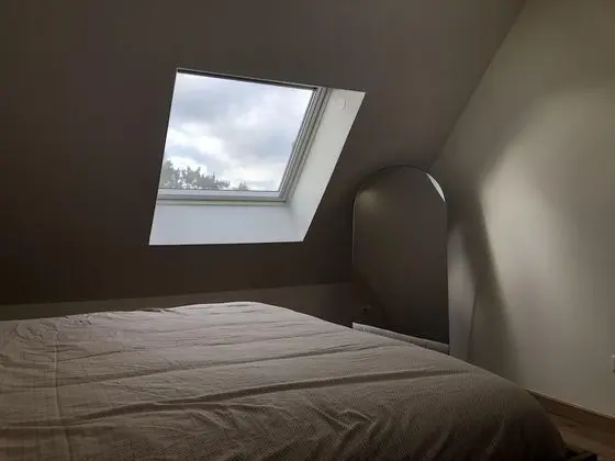 Comfort Dört Kişilik Oda