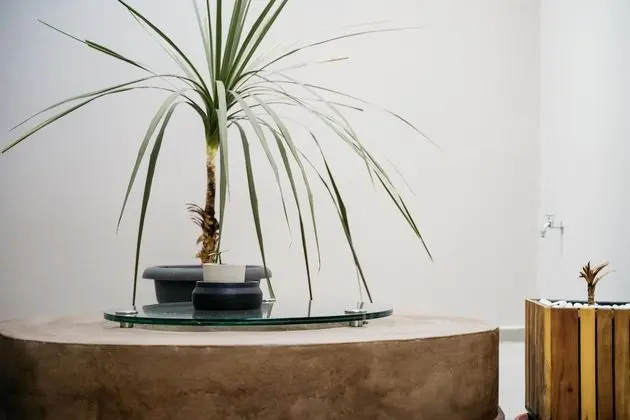 Superior Tek Büyük Yataklı Oda (Outdoor Hot Tub)