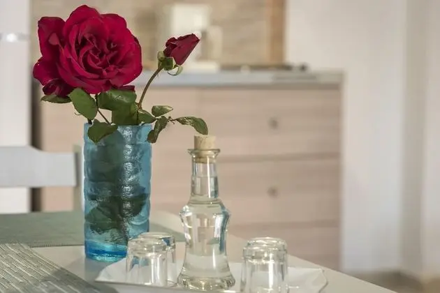 Comfort Stüdyo, 2 Tek Kişilik Yatak