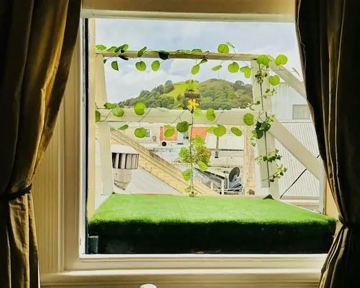 Tek Büyük Yataklı Oda (Flagstaff)
