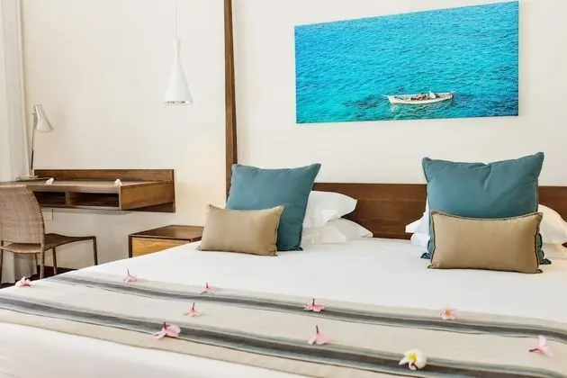 Çatı Katı Süiti (Penthouse)
