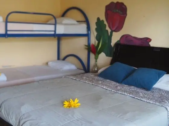 Deluxe Dört Kişilik Oda, Özel Banyo