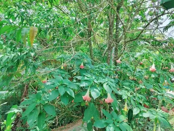 Dört Kişilik Oda, Ortak Banyo