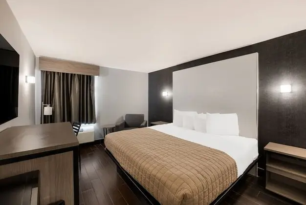 Deluxe Tek Kişilik Oda