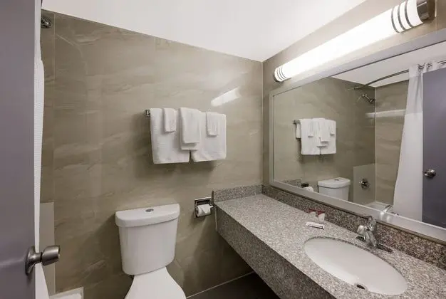 Deluxe Tek Kişilik Oda