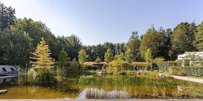 Standard Stüdyo, 1 En Büyük (King) Boy Yatak