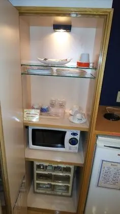 Standard Tek Büyük Yataklı Oda, Özel Banyo