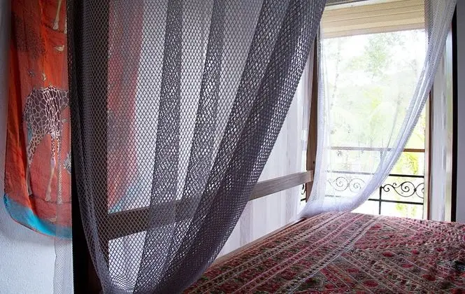 Süit, 1 Yatak Odası, Balkon, Havuz Manzaralı