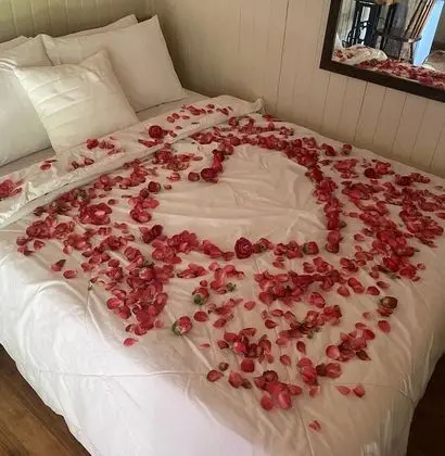 Romantic Dağ Evi