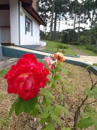 Standard Dağ Evi, 1 Yatak Odası, Dağ Manzaralı