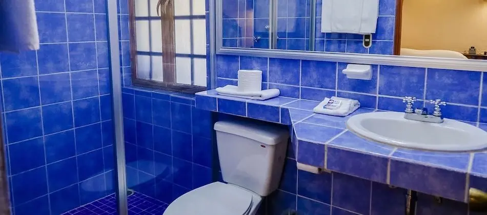 Standard Tek Büyük Yataklı Oda, 2 Büyük (Queen) Boy Yatak, Engellilere Uygun