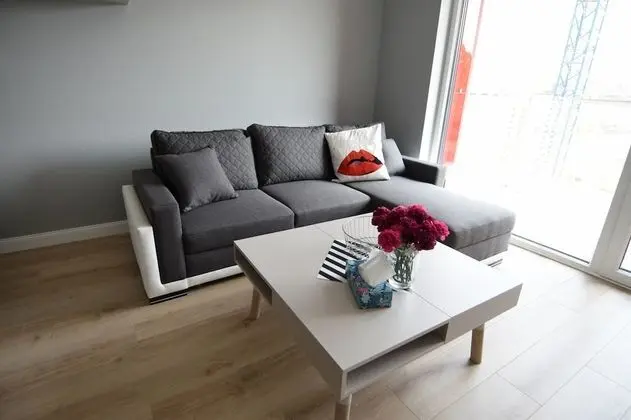 Deluxe Apart Daire, Küçük Mutfak (Popielaty)