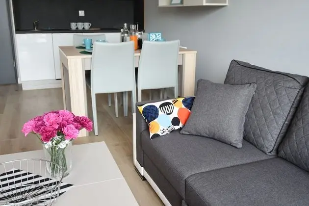 Deluxe Apart Daire, Küçük Mutfak (Popielaty)