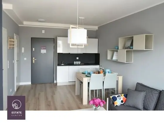 Deluxe Apart Daire, Küçük Mutfak (Popielaty)
