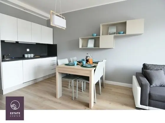 Deluxe Apart Daire, Küçük Mutfak (Popielaty)