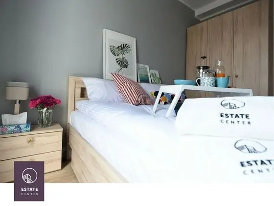 Deluxe Apart Daire, Küçük Mutfak (Popielaty)