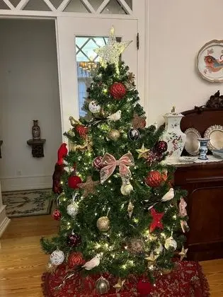 Stüdyo (Hortensias)