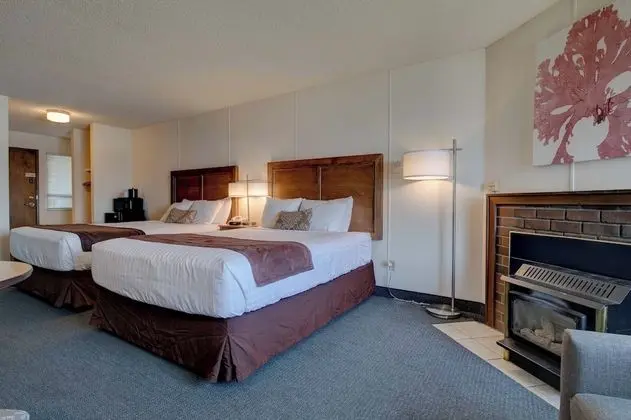 2 Queen Studio w/Oceanview Non-Pet