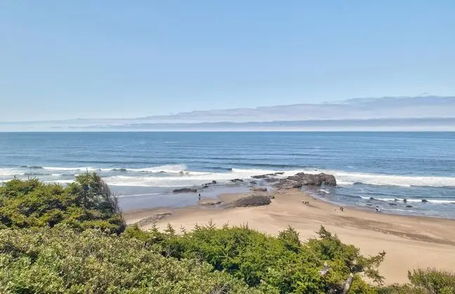2 Queen Studio w/Oceanview Non-Pet