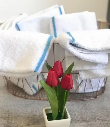 Comfort Apart Daire, 2 Yatak Odası, Balkon