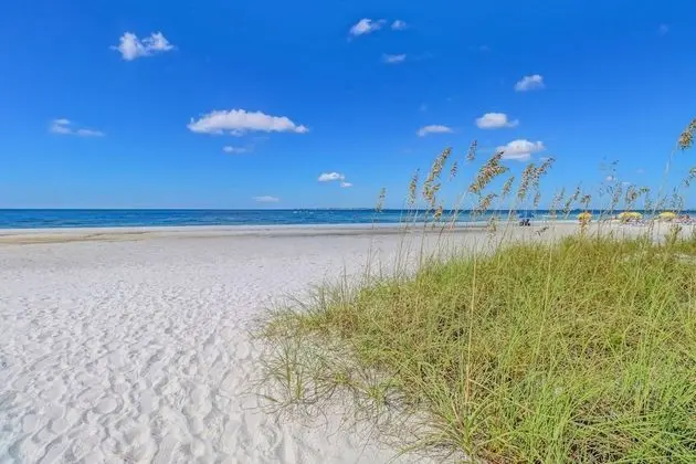 Daire (Estero Island Beach Villas 206)