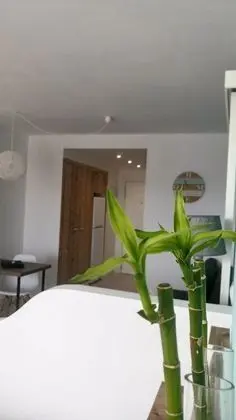 Stüdyo, Havuz Manzaralı