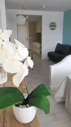 Stüdyo, Havuz Manzaralı