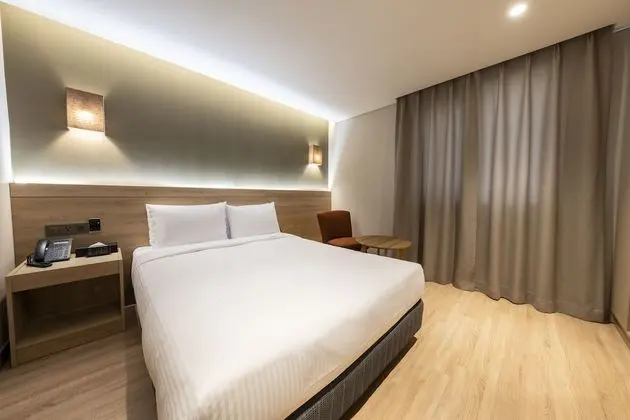 Standard Tek Büyük Yataklı Oda, 1 Çift Kişilik Yatak, Küvet, Şehir Manzaralı