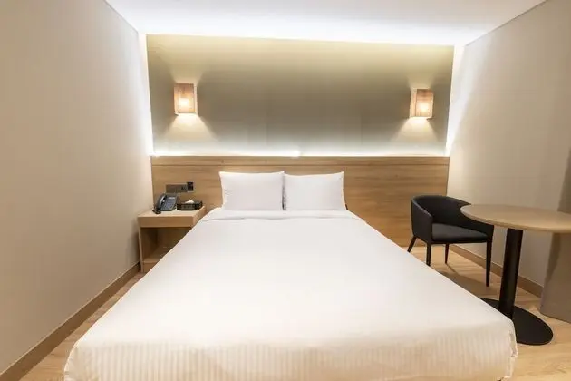 Standard Tek Büyük Yataklı Oda, 1 Çift Kişilik Yatak, Küvet, Şehir Manzaralı