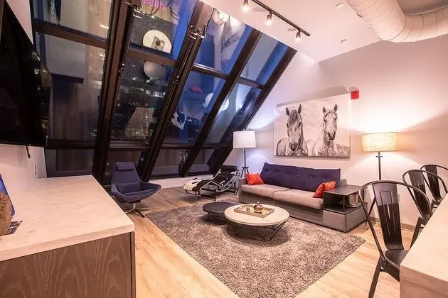 Çatı Katı Süiti (Penthouse), 1 Yatak Odası