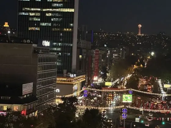 Standard Tek Büyük Yataklı Oda, 1 Çift Kişilik Yatak, Şehir Manzaralı