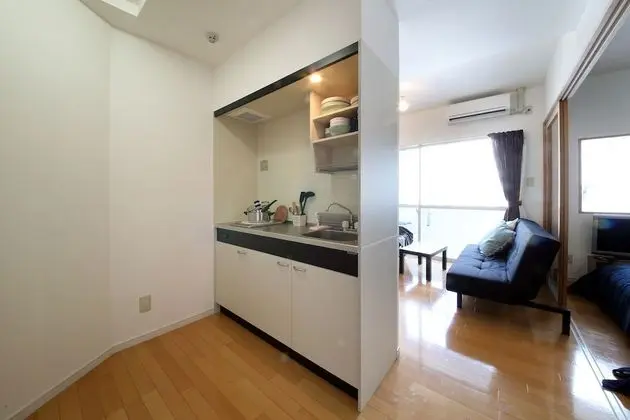 Apart Daire, 1 Yatak Odası