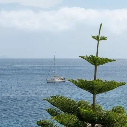 Süit, Kişiye Özel Havuzlu, Deniz Manzaralı (Villa)