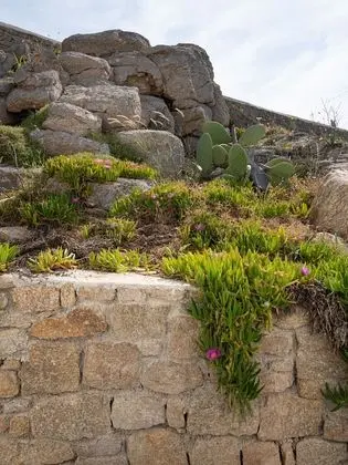 Süit, Kişiye Özel Havuzlu, Deniz Manzaralı (Villa)